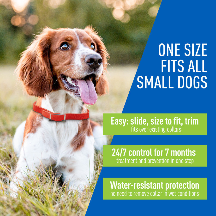 Adams Plus Flea  Tick Collar for Dogs, Small 1ea/SMall