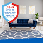 Adams Plus Flea  Tick Carpet Spray, For Indoor Use 1ea/16 oz