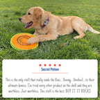 Adams Flea  Tick Spray 1ea/16 fl oz