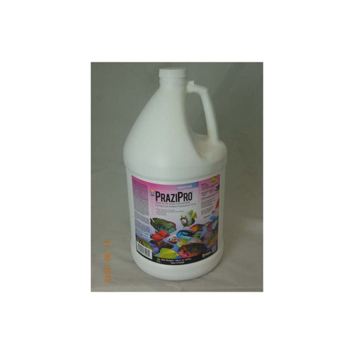 Aquarium Solutions Prazipro Liquid Treatment 1ea/1 gal