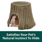 Kaytee Natural Tree Trunk Hideout Multi-Color 1ea/Large