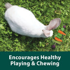 Kaytee Perfect Chews Rabbit 1ea/1in. X 2.5in. X 9.3in.