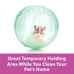 Kaytee Giant Run-About Exercise Ball Clear 1ea/11.5in.