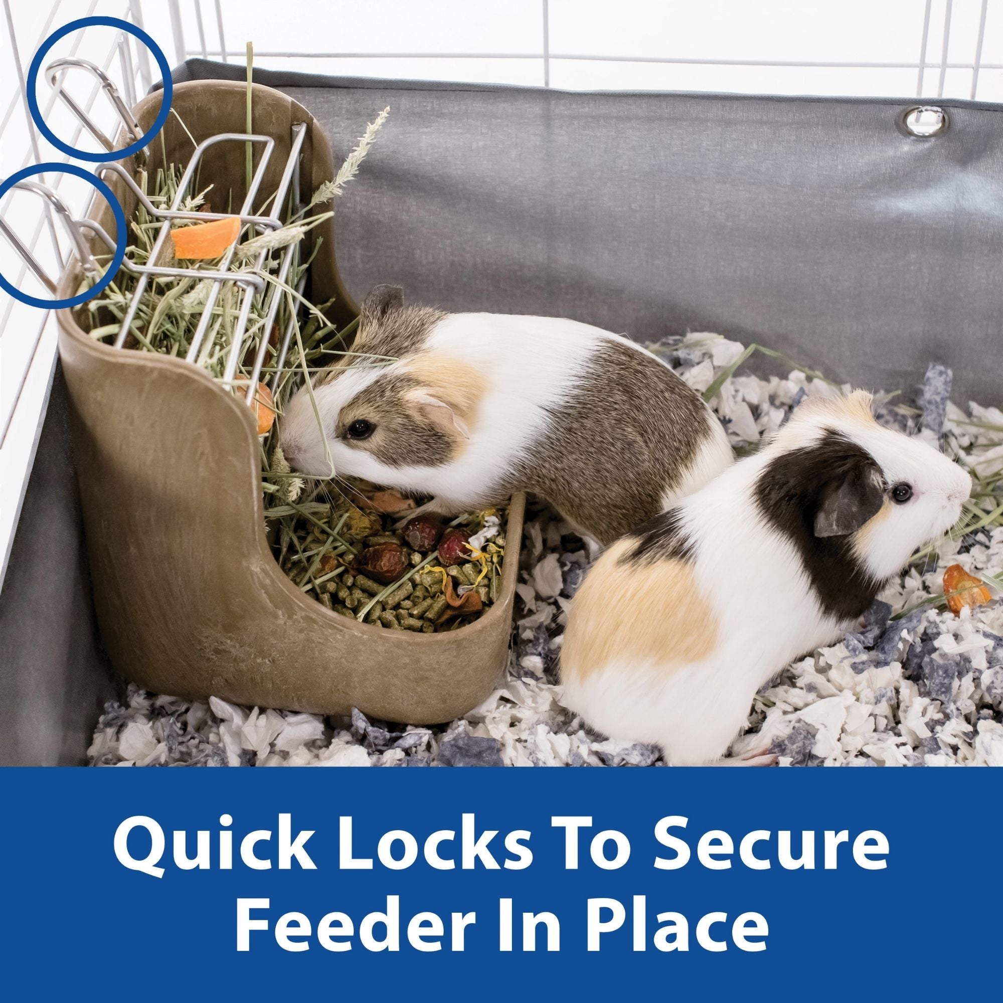Kaytee Hay & Food Bin Feeder With Quick Locks 1ea/5.75in. X 6in. X 7in.