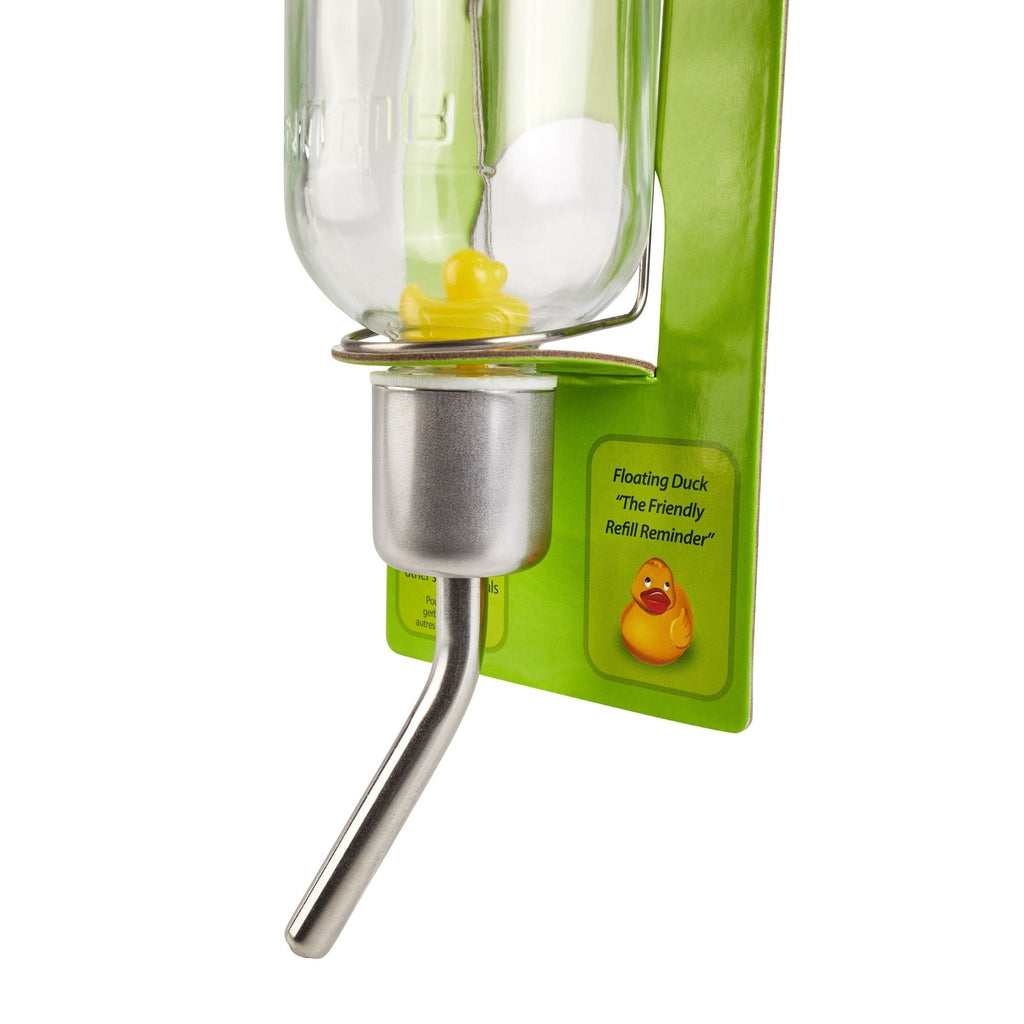 Kaytee Chew-Proof Water Bottle Clear 1ea/6oz.