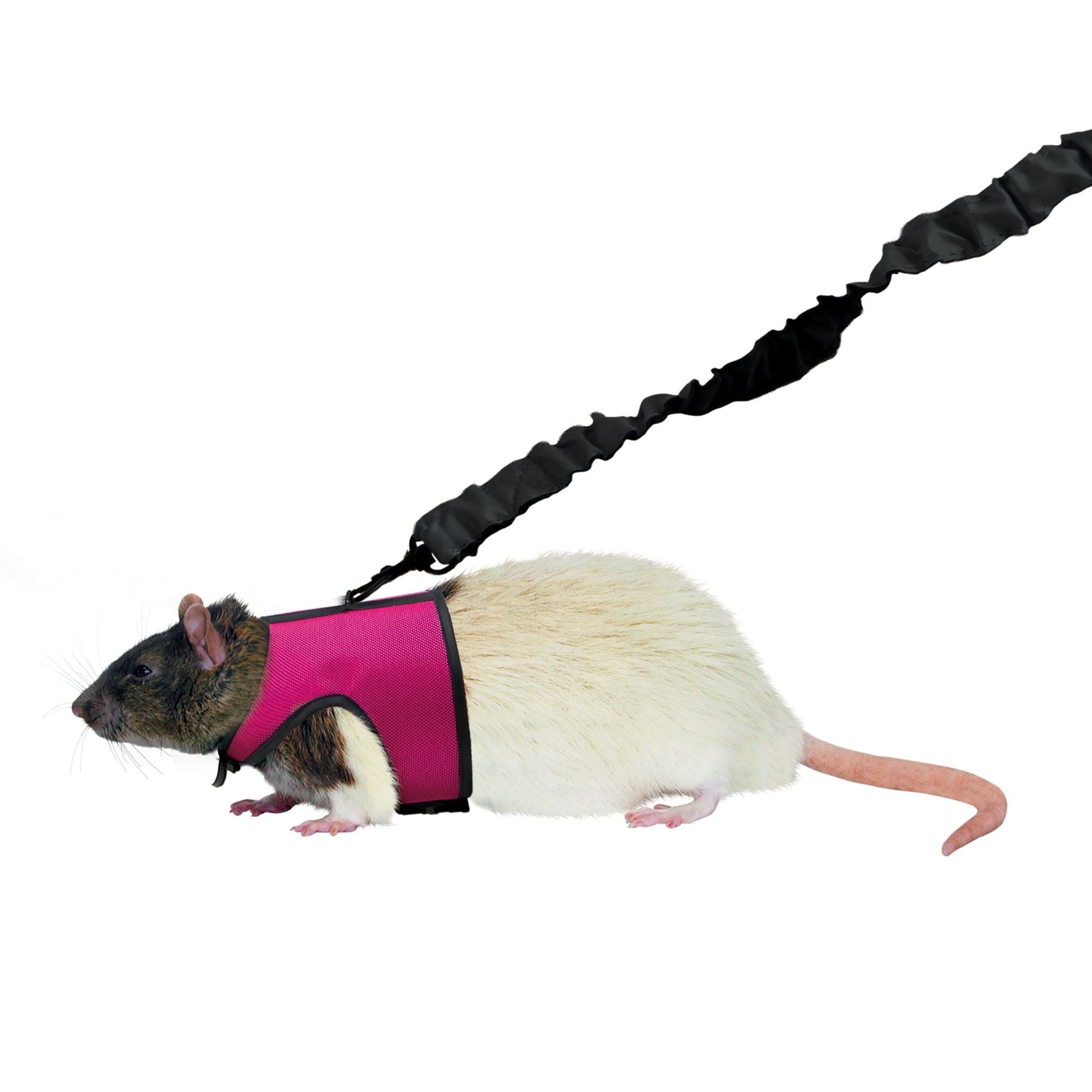 Kaytee Comfort Harness & Stretchy Leash Assorted 1ea/Small