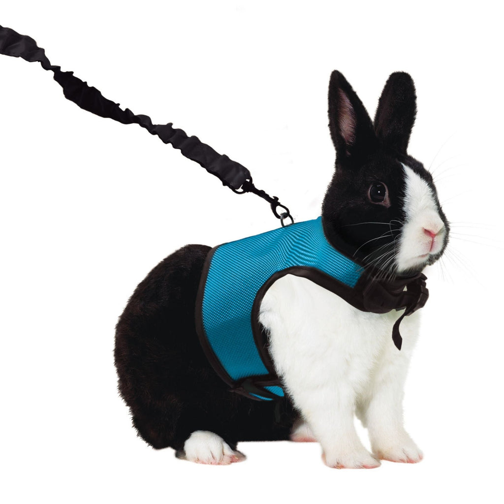 Kaytee Comfort Harness & Stretchy Leash Assorted 1ea/Extra Large