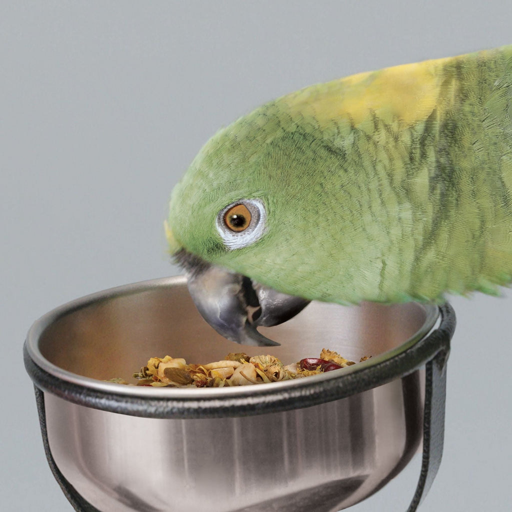 Kaytee EZ Care Pet Bird T-Stand 1ea/Medium