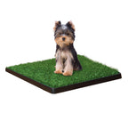 Four Paws WeeWee Dog Grass Patch Tray 1ea/20 in X 20 in 6 ct