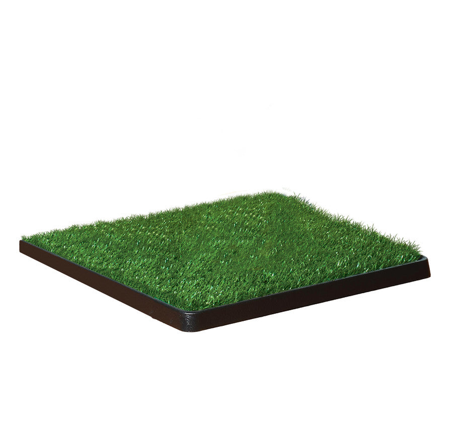 Four Paws WeeWee Dog Grass Patch Tray 1ea/20 in X 20 in 6 ct