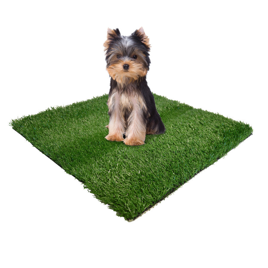 Four Paws WeeWee Dog Grass Replacement 1ea/19 in X 19 in 12 ct