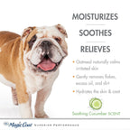 Four Paws Magic Coat Hypoallergenic Dog Shampoo Soothing Cucumber, 1ea/16 oz 1 ct