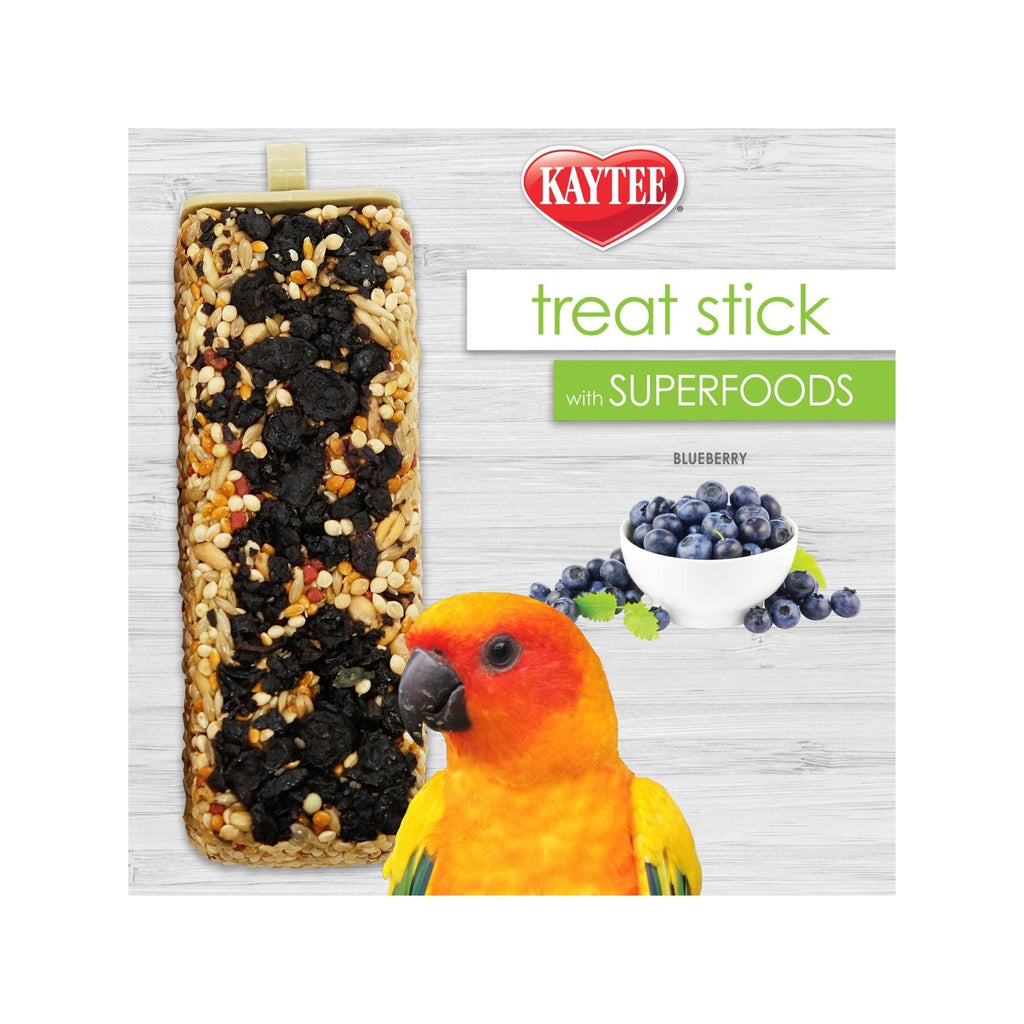 Kaytee Avian Superfood Treat Stick Blueberry 1ea/5.5oz.