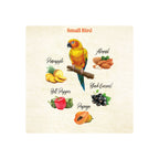 Kaytee Food From the Wild Natural Snack Small Pet Bird 1ea/3oz.