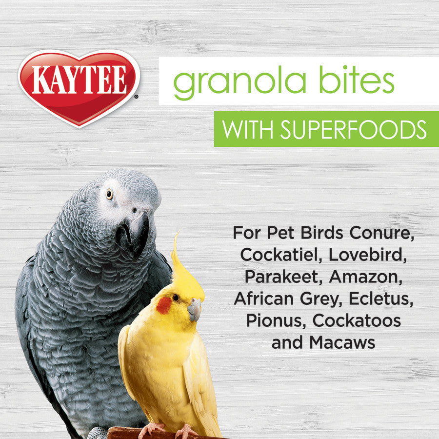Kaytee Granola Bites Blueberry and Flax 1ea 4.5oz
