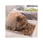 Kaytee Clean & Cozy Natural Paper with Extreme Odor Control Bedding 1ea/40 l