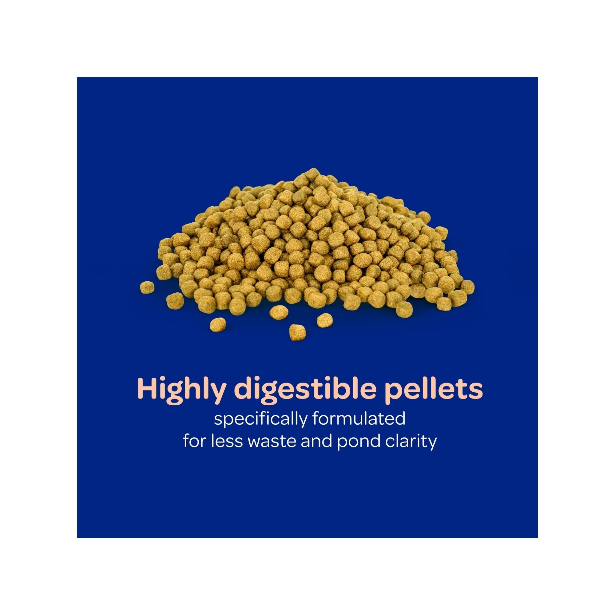 Kaytee Koi's Choice, Floating Fish Food 1ea/10 lb