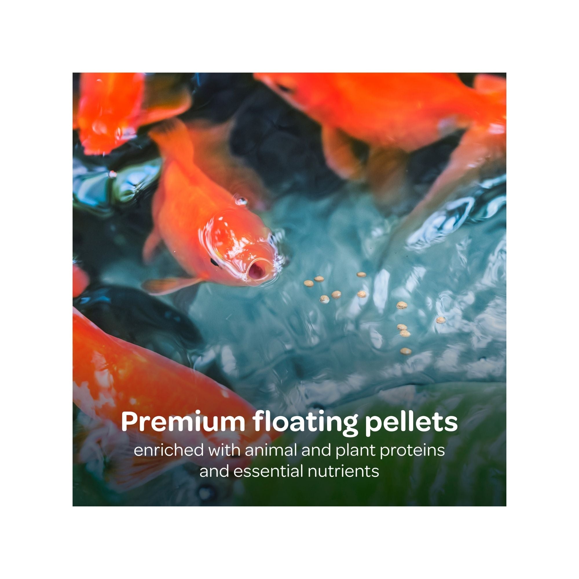 Kaytee Koi's Choice, Floating Fish Food 1ea/25 lb