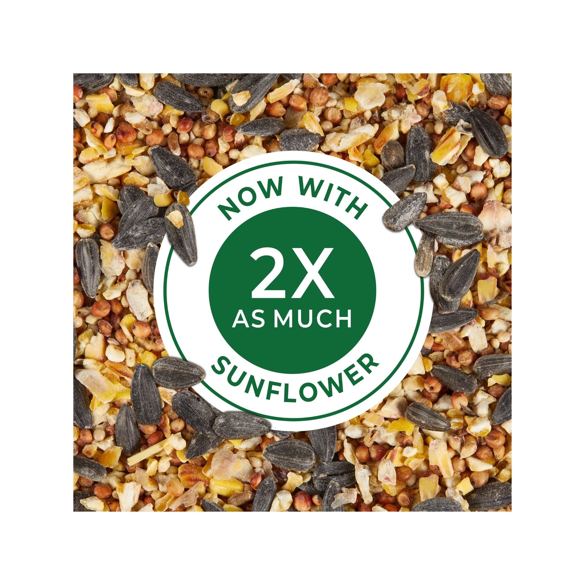 Kaytee Wild Bird Food 1ea/20 lb