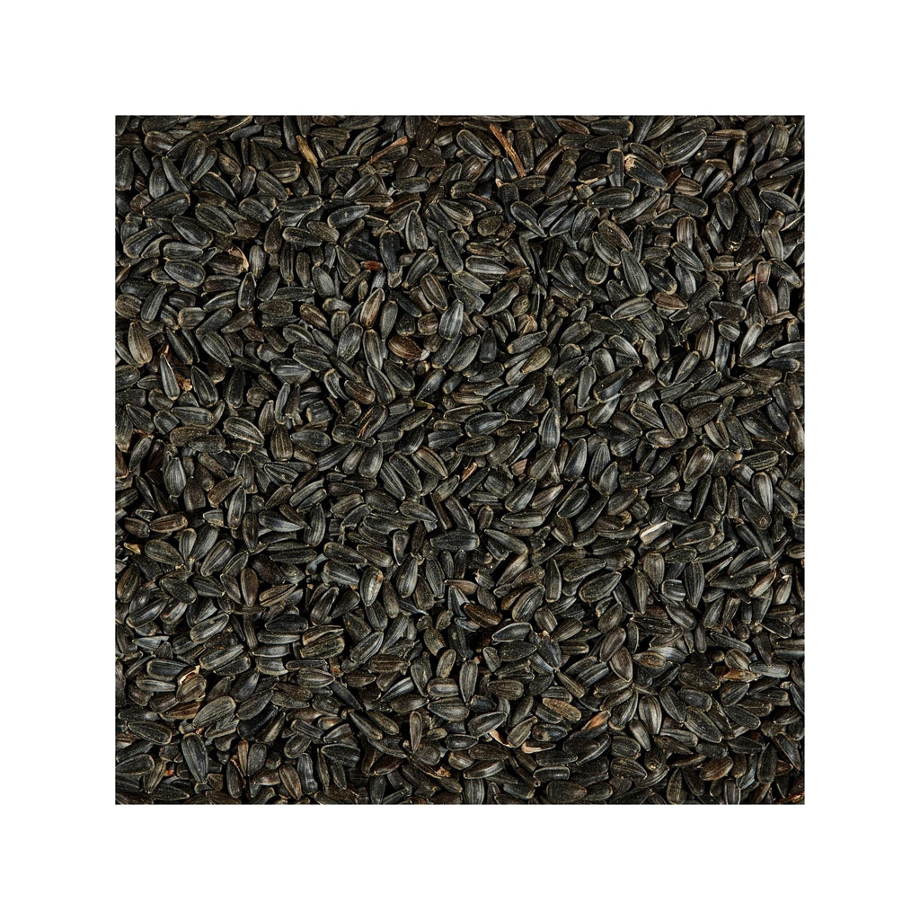 Kaytee Black Oil Sunflower Food 1ea/20 lb