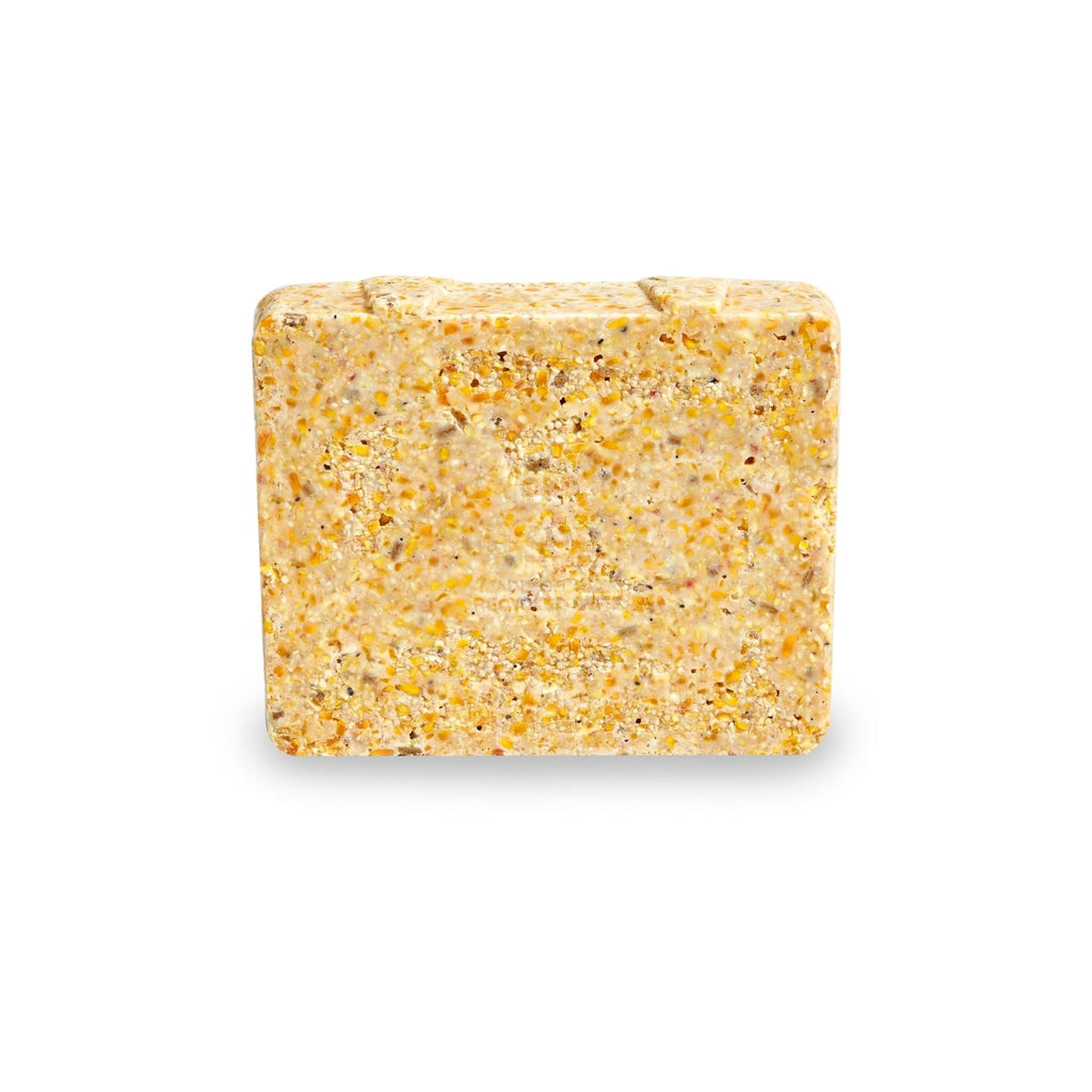 Kaytee Suet & Seed, High Energy Suet Cake Economy Size 1ea/3.5 lb