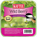 Kaytee Wild Berry High Energy Mini Suet 1ea/11.75 oz