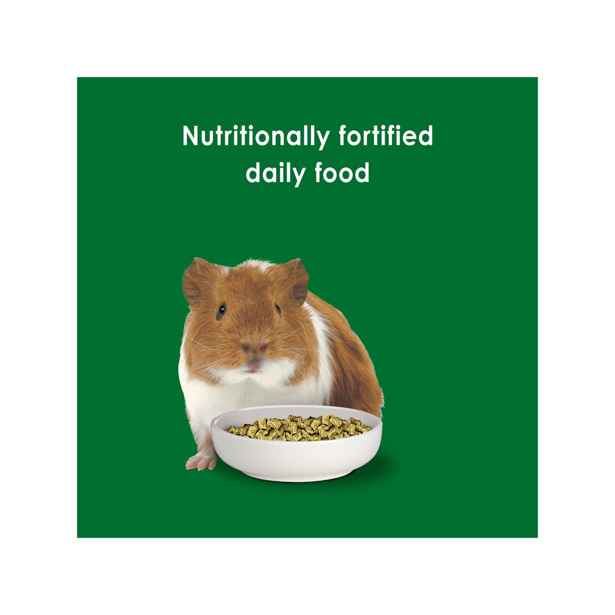 Kaytee Forti Diet Guinea Pig Food 1ea/5 lb