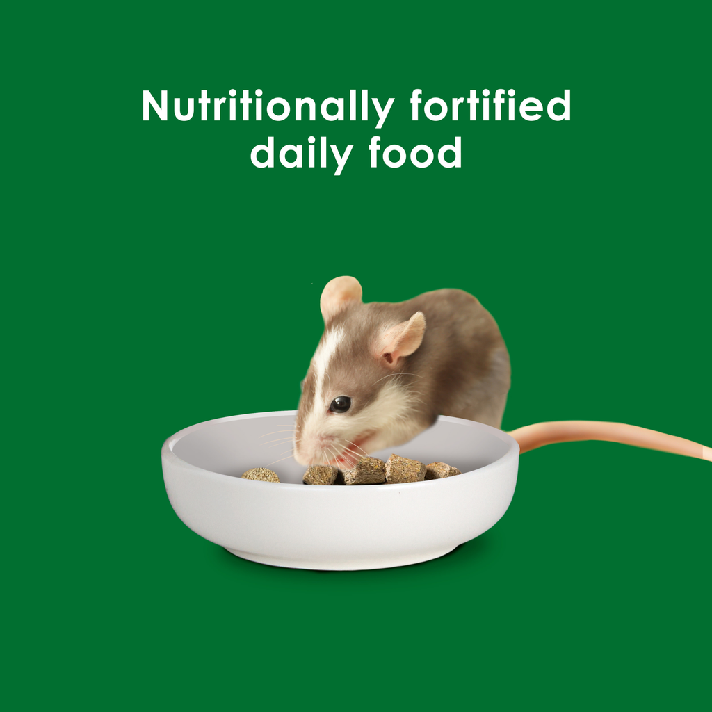 Kaytee Forti-Diet Mouse, Rat, and Hamster Food 1ea/2 lb