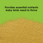Kaytee Exact Handfeeding for Baby Birds 1ea/22 lb