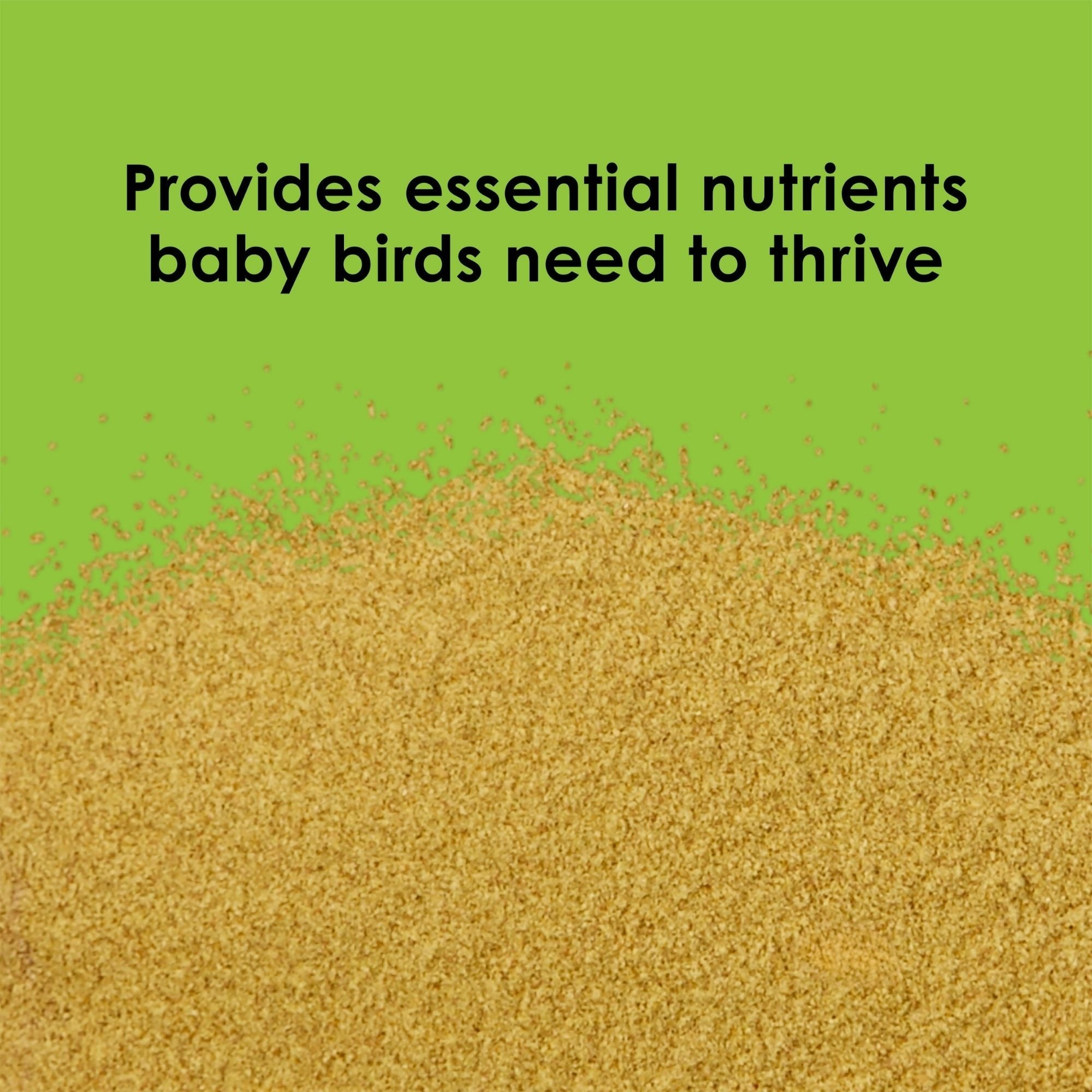 Kaytee Exact Handfeeding for Baby Birds 1ea/22 lb