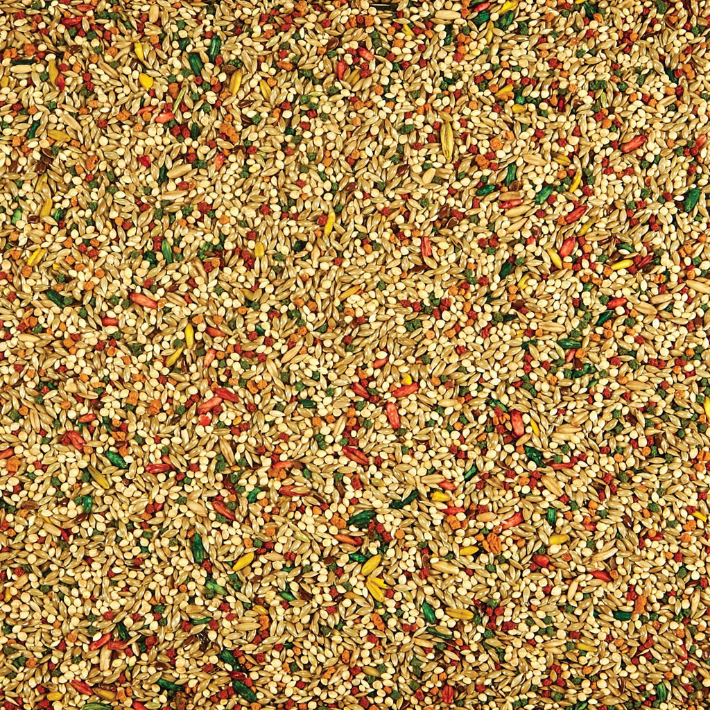 Kaytee Parakeet Food 1ea/2 lb