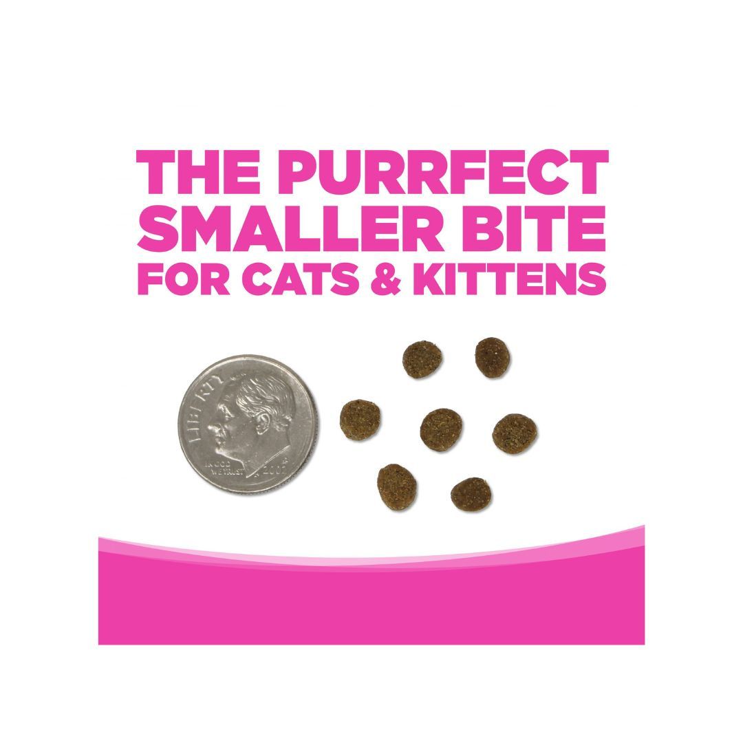 NutriSource Element Series Grain Free Dry Cat Food Scenic Meadow 11lb