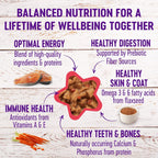 Wellness Cat Complete Health Minced Salmon Dinner 3oz. (Case of 24)