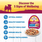 Wellness Complete Health Petite Entrées Mini Fillet Roast Chicken Carrot Red Pepper 3oz. (Case of 12)