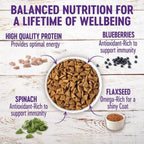 Wellness Dog Grain Free Small Breed 11Lb Turkey Chicken Salmon Complete Health