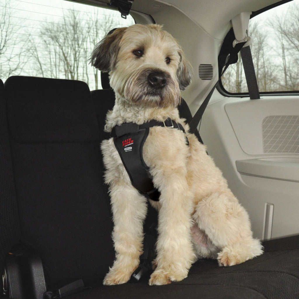 Easy Rider Adjustable Car Harness Black 1ea/26-43 in, XL