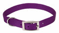 Coastal Single-Ply Nylon Dog Collar Purple 1ea/5/8 In X 12 in