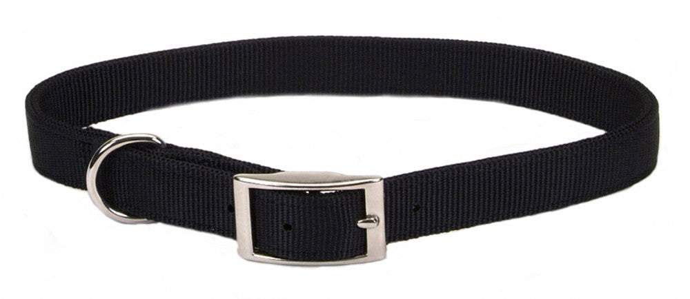 Coastal Single-Ply Nylon Dog Collar Black 1ea/5/8 In X 16 in