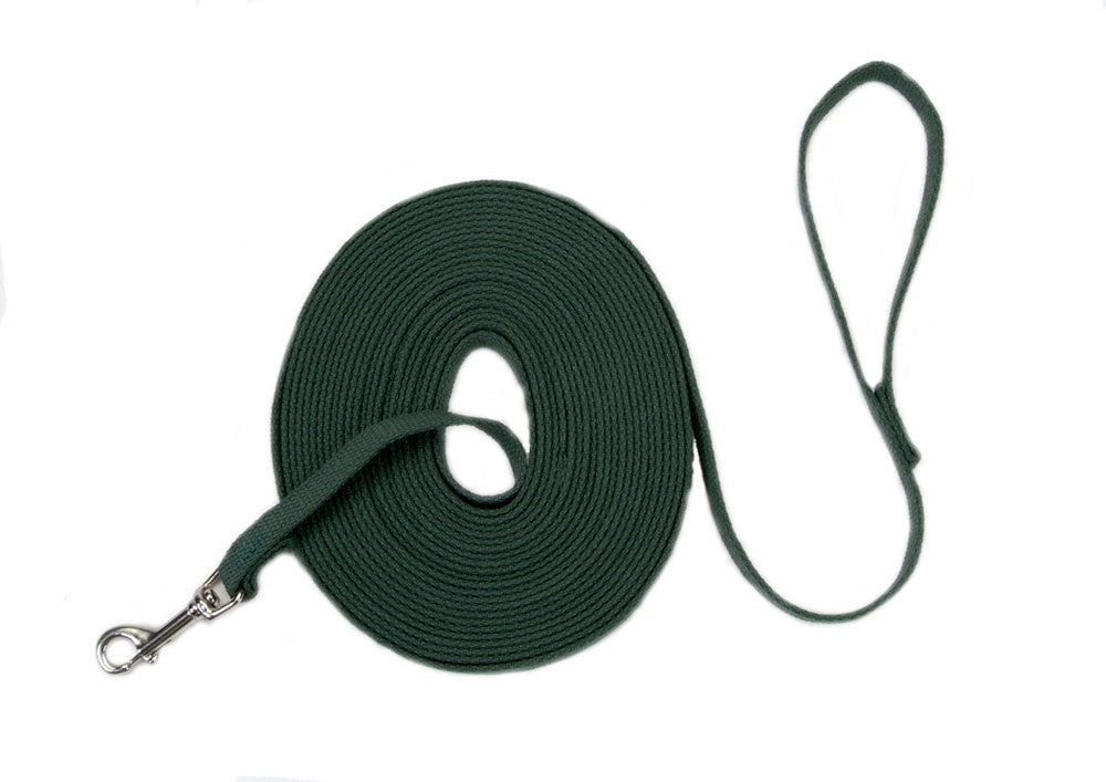 Train Right Cotton Web Training Dog Leash Green 1ea/5/8 In X 20 ft