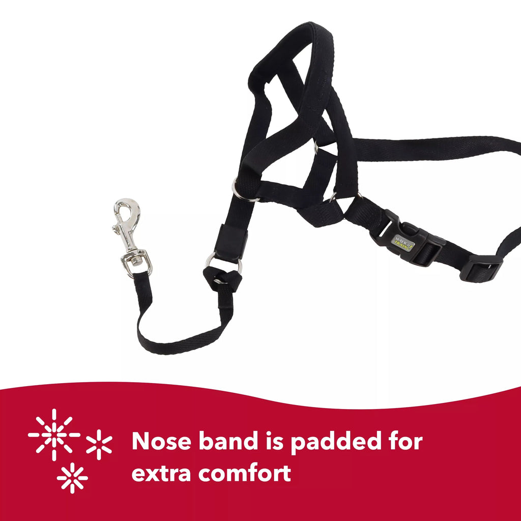 Coastal Pet Walk N Train! Head Halter Xsmall Black