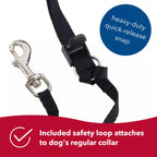 Coastal Pet Walk N Train! Head Halter Xsmall Black