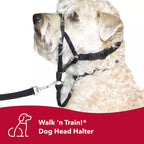Coastal Pet Walk N Train! Head Halter Xsmall Black