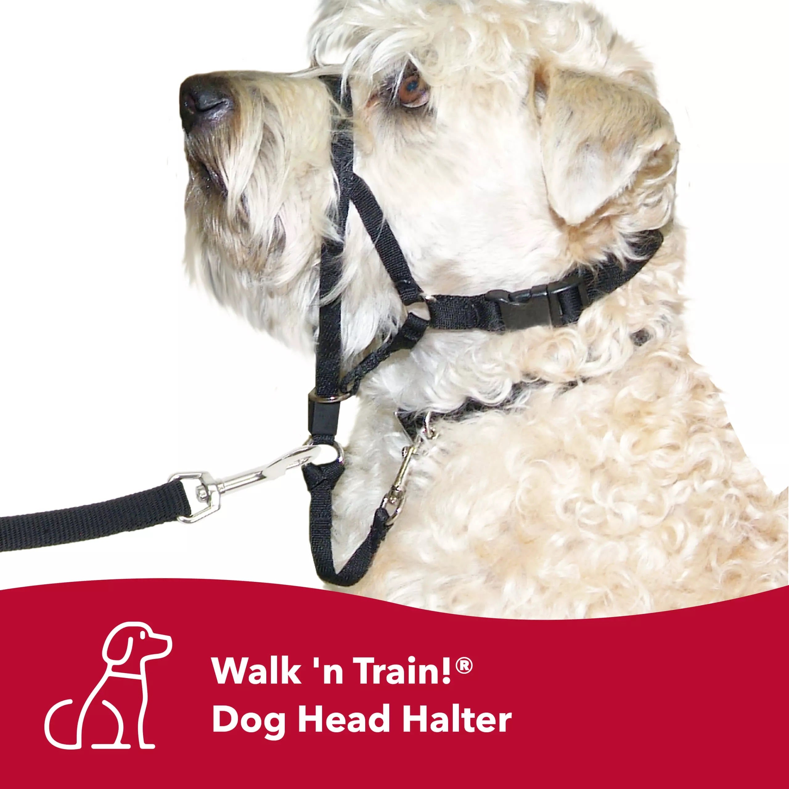 Coastal Pet Walk N Train! Head Halter Xsmall Black