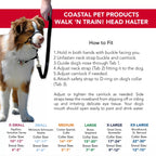 Coastal Pet Walk N Train! Head Halter Xsmall Black
