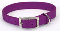 Coastal Double-Ply Nylon Dog Collar Purple 1ea/1 In X 18 in