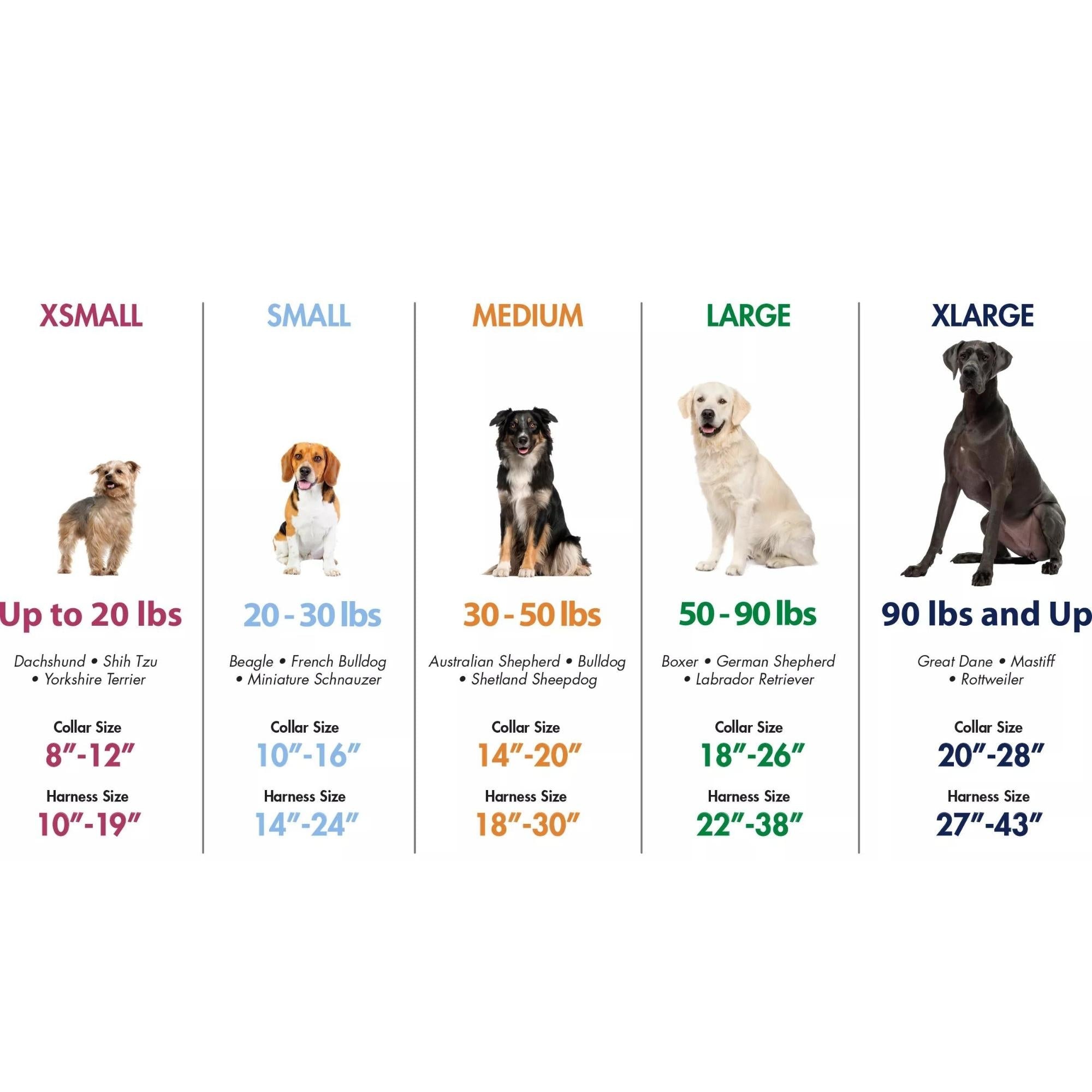 K9 Explorer Brights Reflective Adjustable Dog Collar Lake Small 5/8"x 10"-14" Default Title