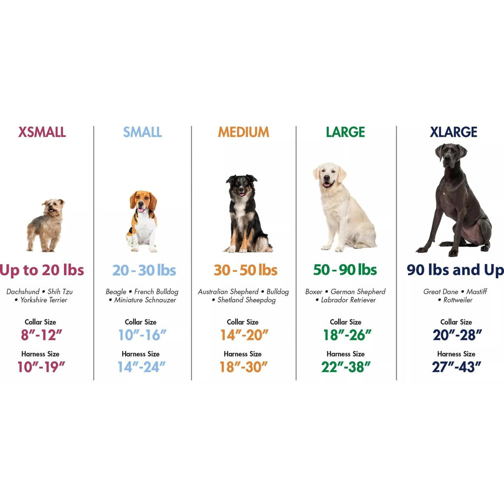 K9 Explorer Brights Reflective Adjustable Dog Collar Meadow Small 5/8"x 10"-14" Default Title