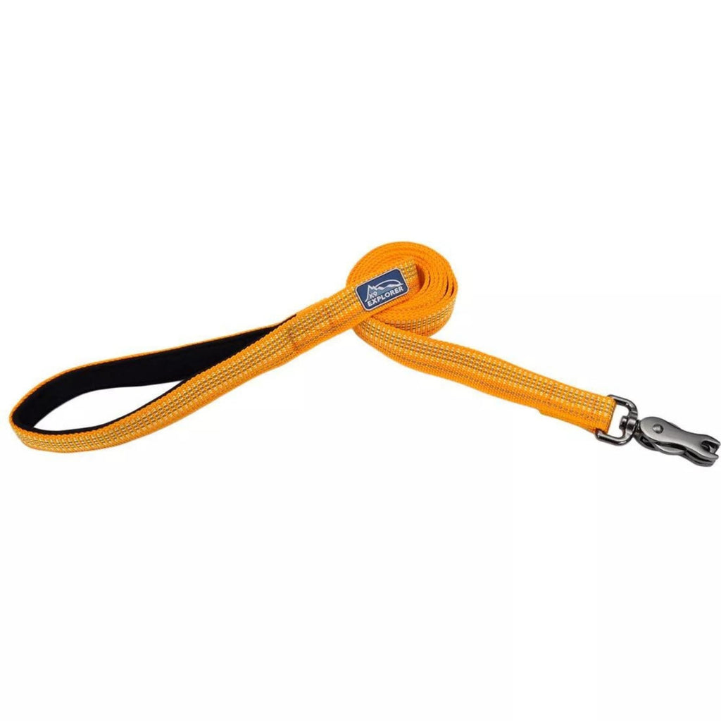 K9 Explorer Brights Reflective Dog Leash Desert Small/Medium 5/8"x 6' Default Title