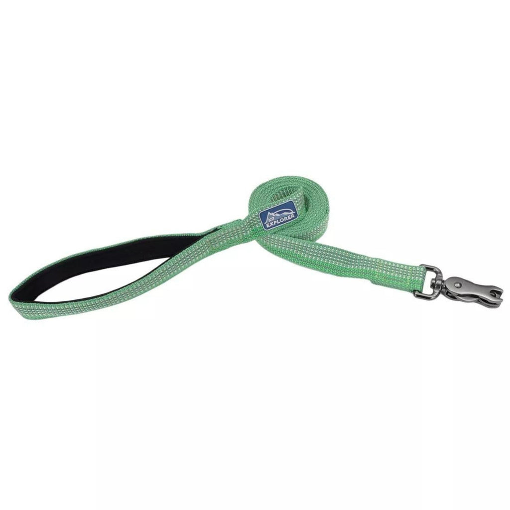 K9 Explorer Brights Reflective Dog Leash Meadow Small/Medium 5/8"x 6' Default Title