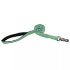 K9 Explorer Brights Reflective Dog Leash Meadow Small/Medium 5/8"x 6' Default Title